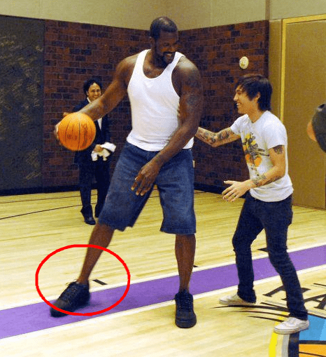 布里兰VS江原FC全方位剖析（布里兰对阵江原FC深度解析）